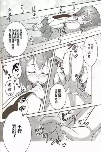 Hideyoshi no Hokentaiiku