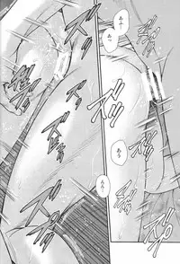 (C84) [Koudansha (Kouda Tomohiro)] H×H (Hentai Ouji to Warawanai Neko.)