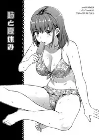 (C90) [Lv.X+ (Yuzuki N Dash)] Ane to Natsuyasumi [English] [Dammon]