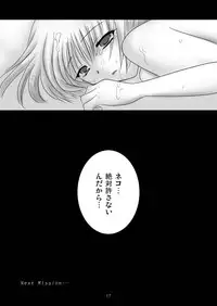 (C75) [True-Bell (Nekono Lonmiy)] masquerade ( Final Fantasy XI)