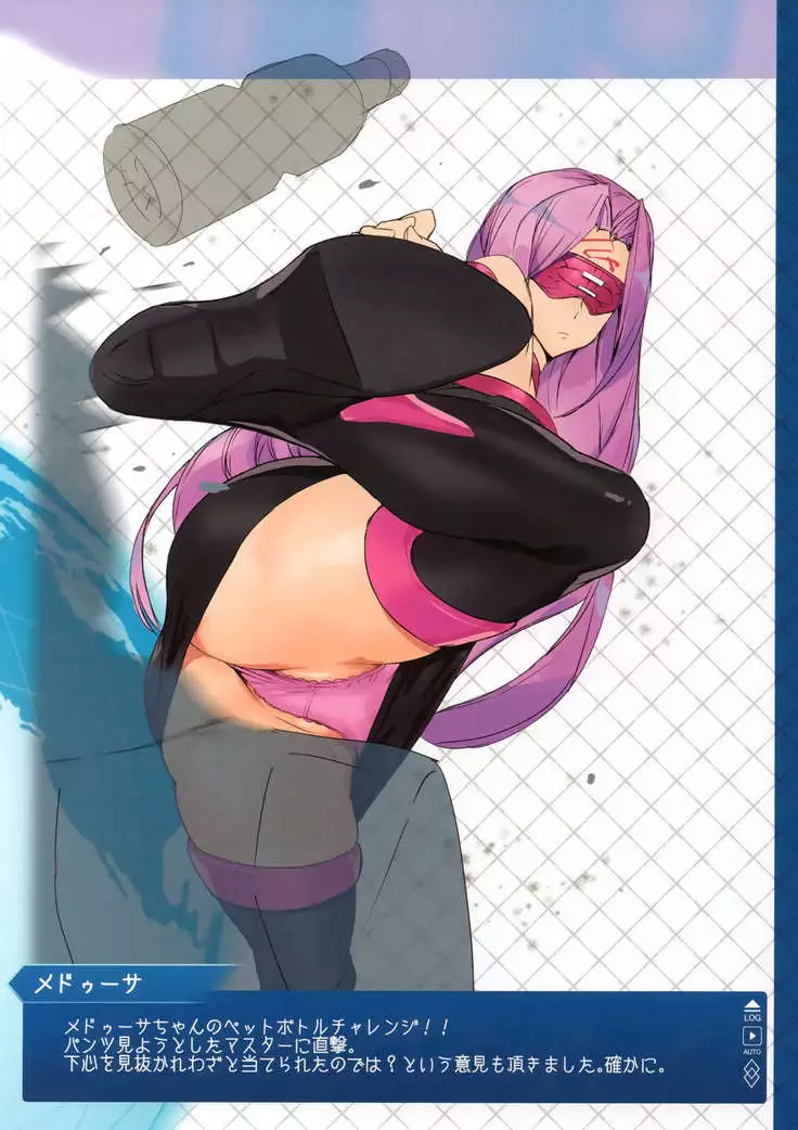 FGO Illust Matome Hon