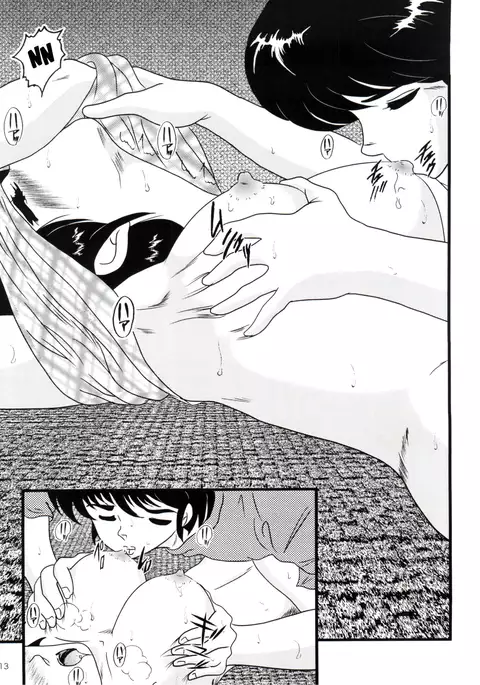 Fairy 14: Memorial Summer