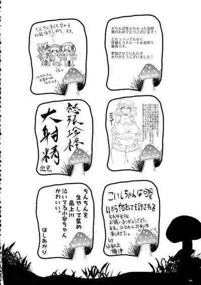 Touhou Ochinpo Haechatta Goudoushi