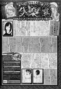 COMIC Shitsurakuten 2013-01