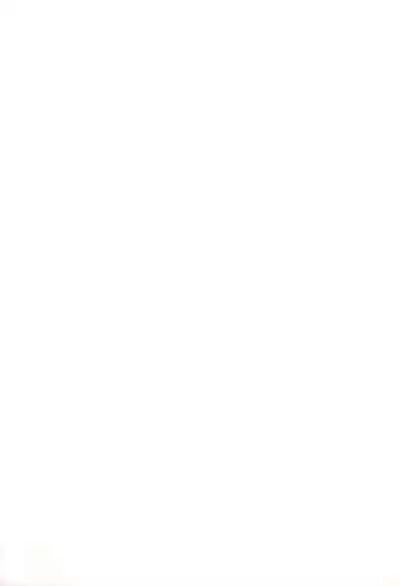 Chen datte Rippan na Nekomata desu