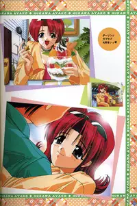 [Visual Fanbook][F&C] きゃんきゃんバニー プルミエール２攻略&設定資料集