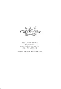 (COMIC1☆4) [Bakuhatsu BRS. (B.Tarou)] Cat Princess (Final Fantasy Gaiden)