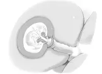 [pink-noise (Mizuiro Megane)] Mama Shot-ime - Tropical Hen [Digital]