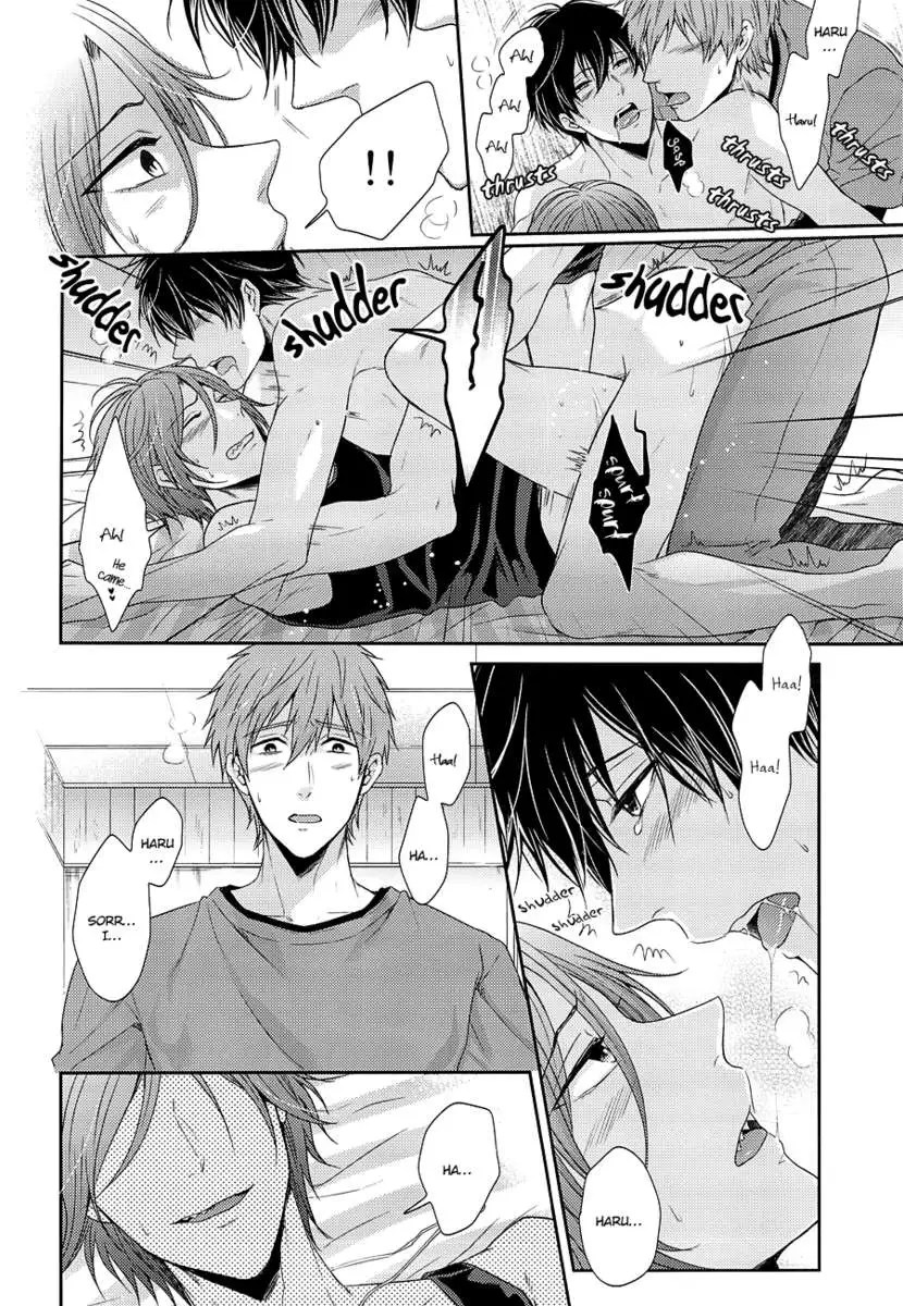 Please Forgive This Bad Dolphin