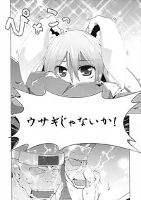 (C91) [Teraoka Digital Works (Endou Tatsumi)] Kyouki! Hitokui Usagi (Touhou Project)