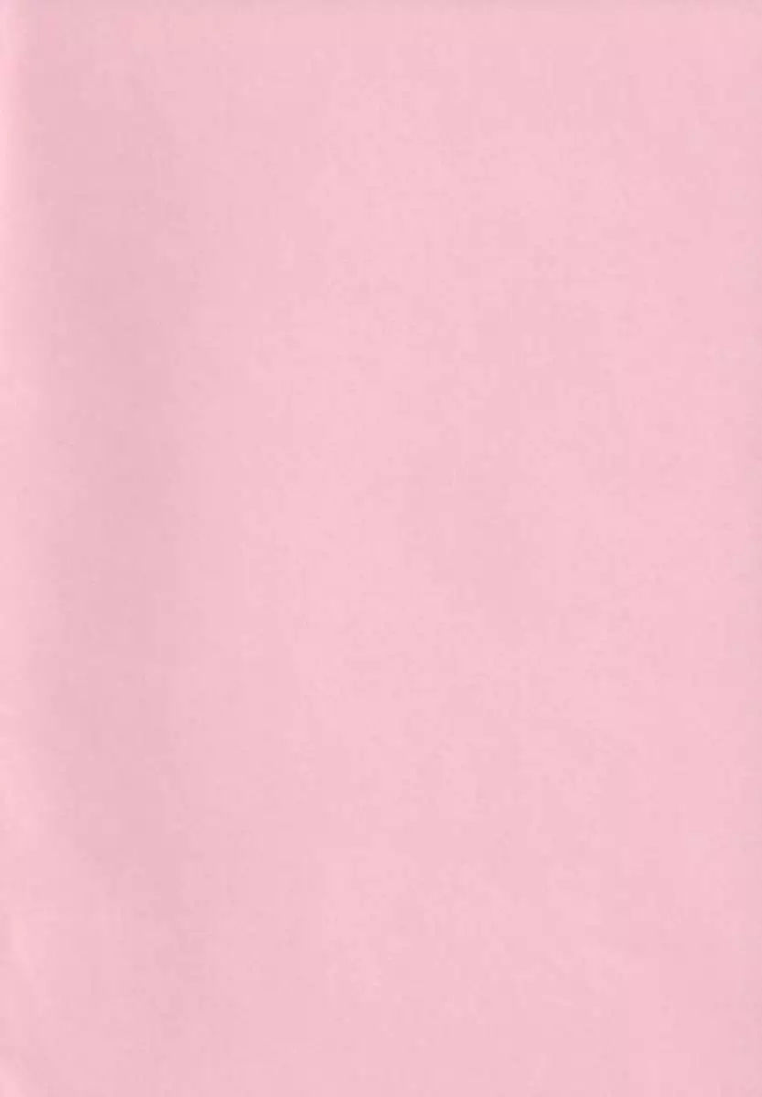 Heavenly Garden Where the Maidens Bloom