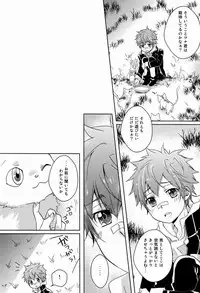 (C81) [Alpenreise (Ayano Ena)] Synchrotation (Katekyo Hitman REBORN!)