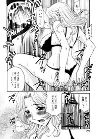 Comic Hime Dorobou 2008-05