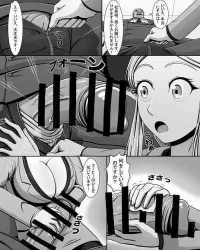 Yōsei Tokushū: Shichō no Himitsu