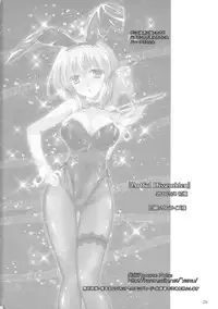 (Reitaisai 13) [Reverse Noise (Yamu)] Artful Dissembler (Touhou Project)