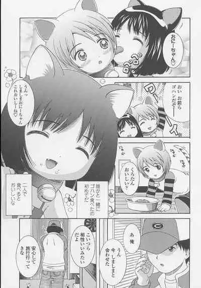 Miseijuku Shoujo Zukan