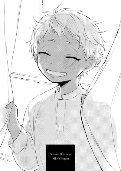 Nakanu Hotaru ga Mi o Kogasu