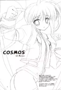 (C71) [Lili Marleen (Kinohara Hikaru)] COSMOS (Mahou Shoujo Lyrical Nanoha)