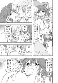 Darenimo Ienai Maru himitsu + vol.12