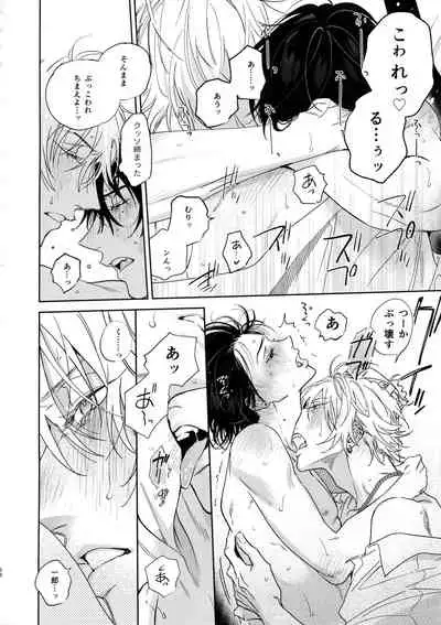 Ichalove Car Sex Book