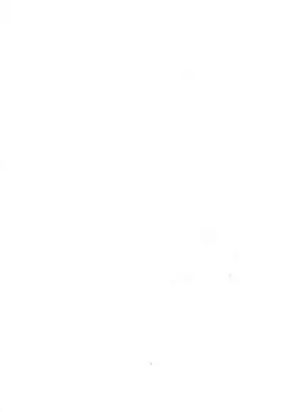 A witch on the wind hill