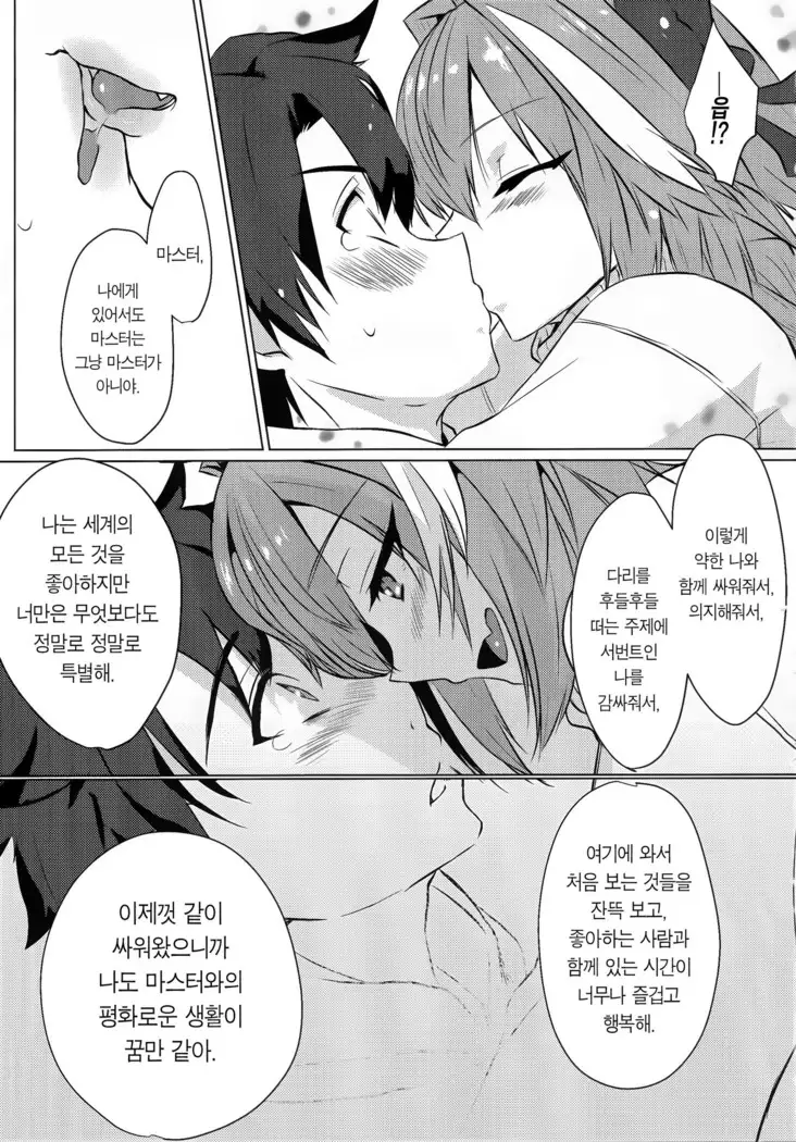 Astolfo-kun to Nenmatsu ni Ichaicha Sugosu Hon