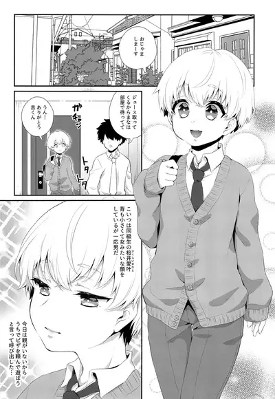 (C97) [Akaeboshi (Binto)] Hara Peko Saimin