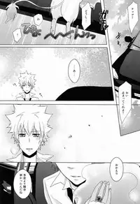 (C80) [Alpenreise (Ayano Ena)] Kiseki (Katekyo Hitman REBORN!)