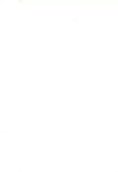 Chen datte Rippan na Nekomata desu