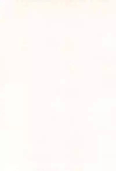 Chibi Succu Shiko Life