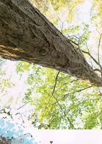 (C86) [Tokyo Continent (Kurasawa Kyosyo)] 5179