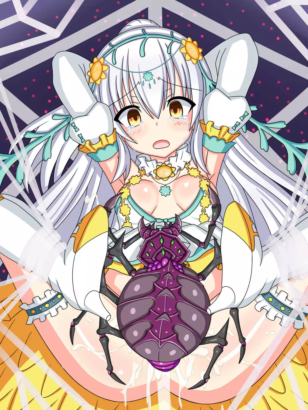 "Hanazono no Seiya" Shirotaegiku