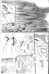 [Combat Ecchu] Hime to Dragon - Princess & Dragon | 姬與淫猥惡龍 [Chinese]