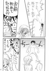 [Ginmomodou (Mita Satomi)] Koukai Nisshi DX (One Piece)