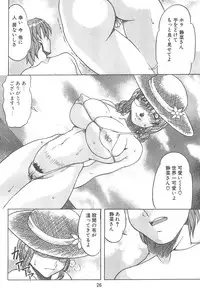 (C71) [Acid Noel (Mitsuki Rintarou)] LOST in my heaven (Various)