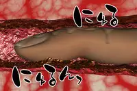 [000] Ankokushin Densetsu -Seitenkan Sareta Ikenie-