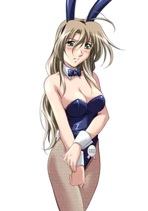 Do You Like Horny Bunnies? 2 (decensored)