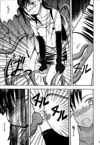 [Crimson (Carmine)] Kajitsu Soushuuhen (Final Fantasy VII)