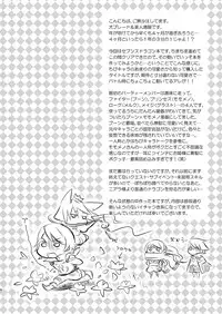 [AHM (Inu-Blade, Lact Mangan)] FaP - Fighter and Princess. (7th Dragon) [Digital]