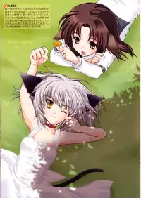 [High Risk Revolution] Colorful Sweets