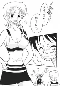 [Ginmomodou (Mita Satomi)] Koukai Nisshi DX (One Piece)