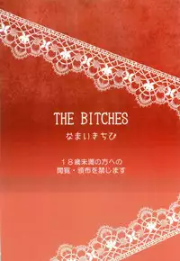 [Namaikichibi (Yuchi, Kyoukei)] THE BITCHES [2015-10-07]