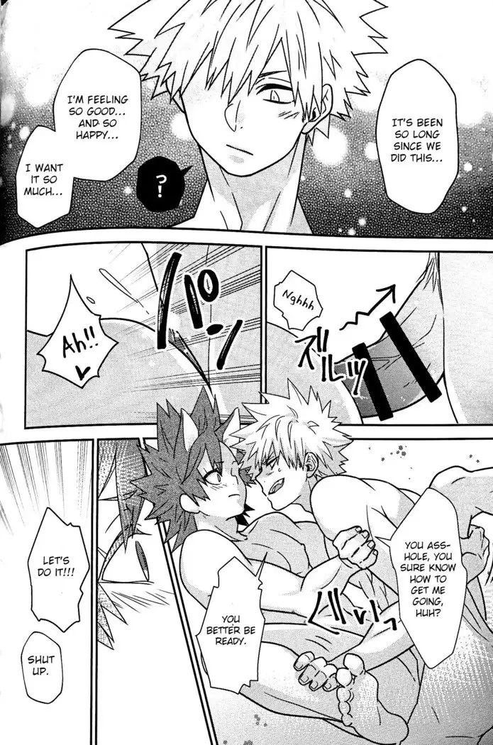 Segregated Euphoria- Boku no Hero Academia dj