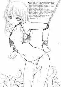 (CR32) [AskRay (Bosshi)] Koushokushu 2