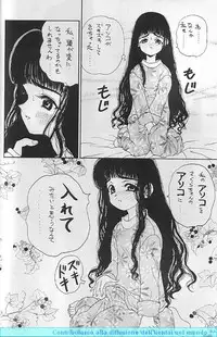 (CR22) [PINE CANDY (Kouenji Marimo)] Sakura Sakura R (Cardcaptor Sakura)