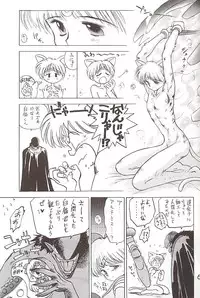 [BLACK DOG (Kuroinu Juu)] Star Platinum (Bishoujo Senshi Sailor Moon)