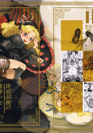 Ikaruga Noa no Idol Haisetsu Lesson