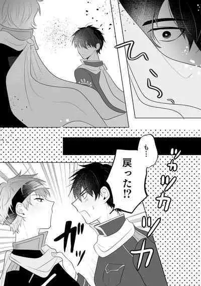 Metamorphose Cinderella Night