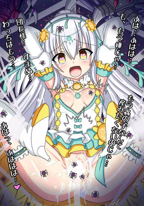 "Hanazono no Seiya" Shirotaegiku