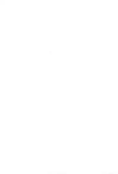 (C67) [FANCY CUBE (Chino Fumiyu)] Oyasuminasai no Sono Ato ni.